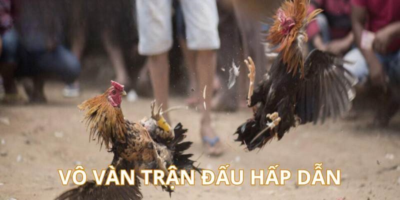 Quy tụ hàng trăm giải đấu mỗi ngày